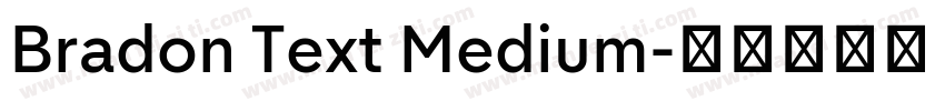 Bradon Text Medium字体转换